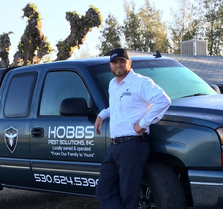 Extermination in Oroville, CA Hobbs Pest Solutions