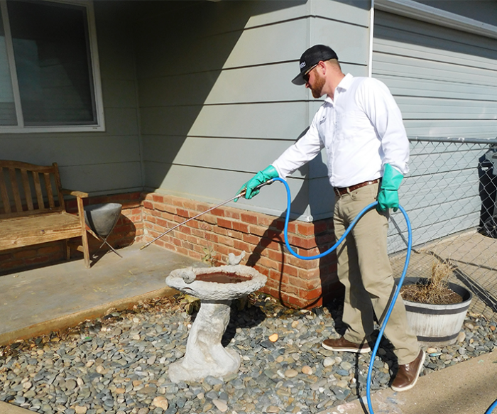 Pest Control Services in Gridley, CA